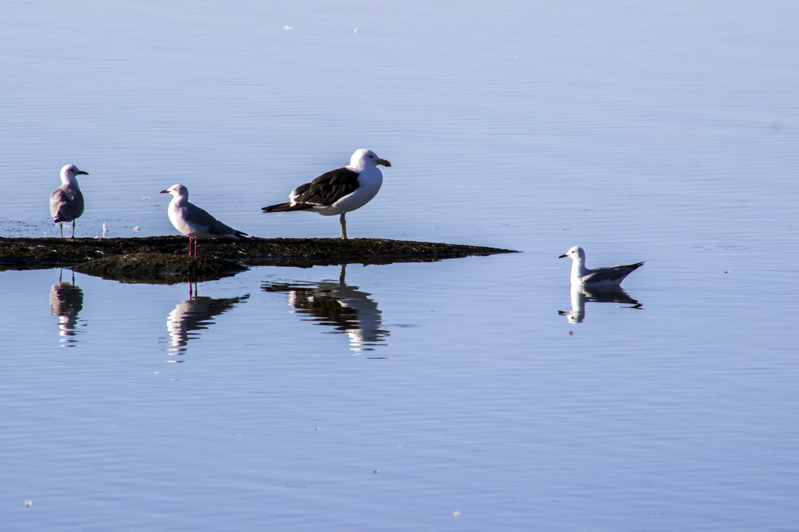 City leaflet gives low-down on waterways