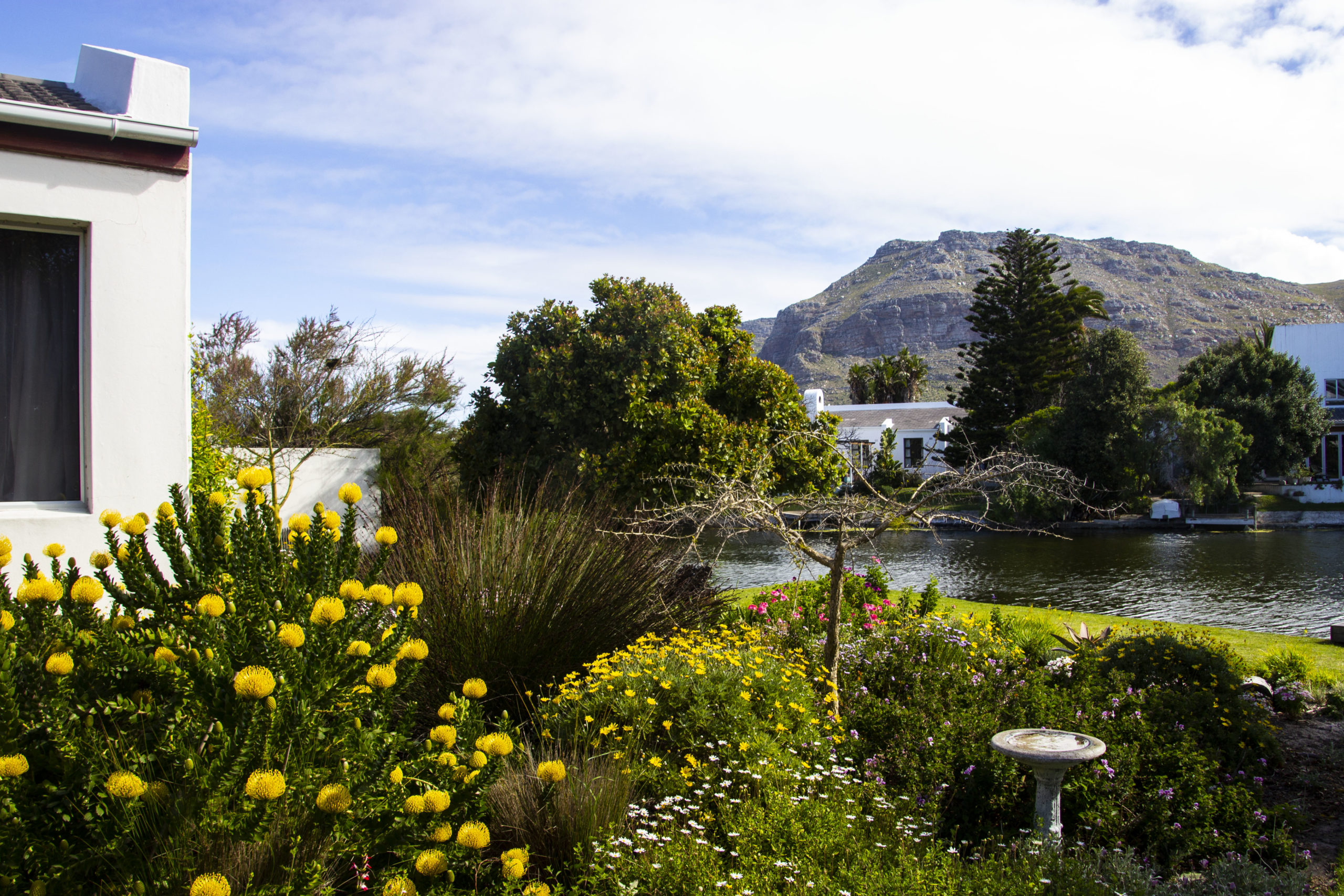 Open Gardens cultivates community spirit